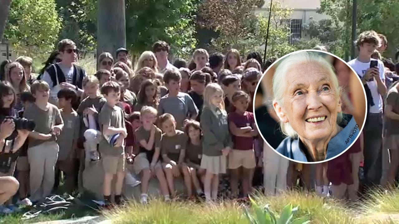 Jane Goodall, famed primatologist, anthropologist and