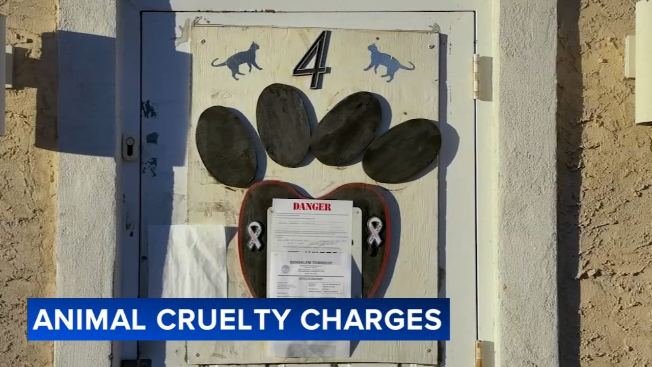71 cats saved from 'chronic suffering'; rescue director faces charges