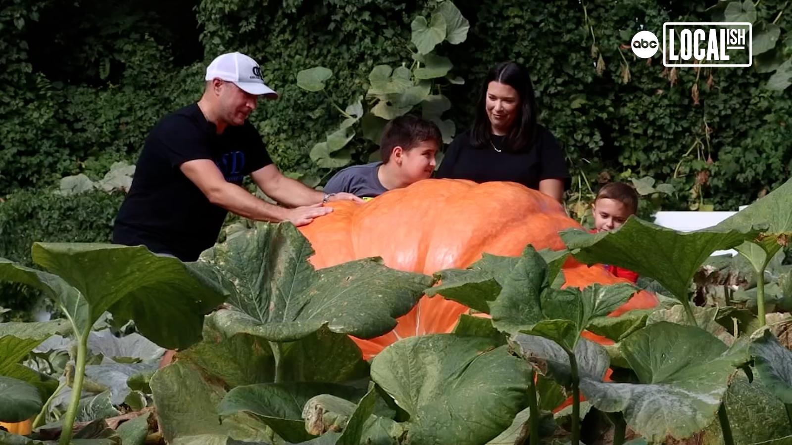 Pennsylvania family has grown a giant pumpkin right in their own backyard