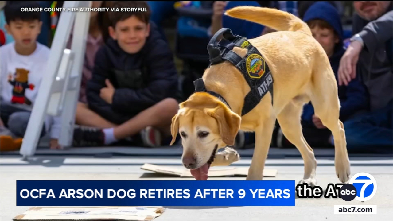 OC arson detection K-9 retires after 7 years of service