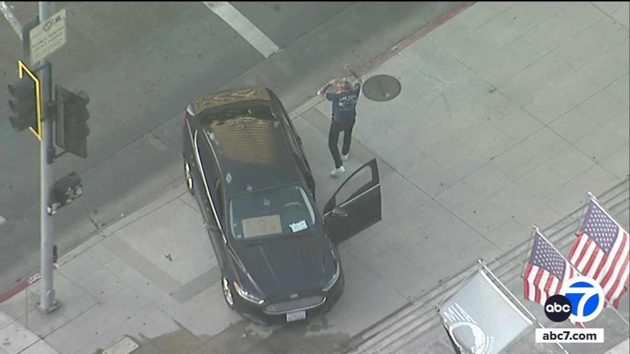 Driver crashes into LA City Hall steps