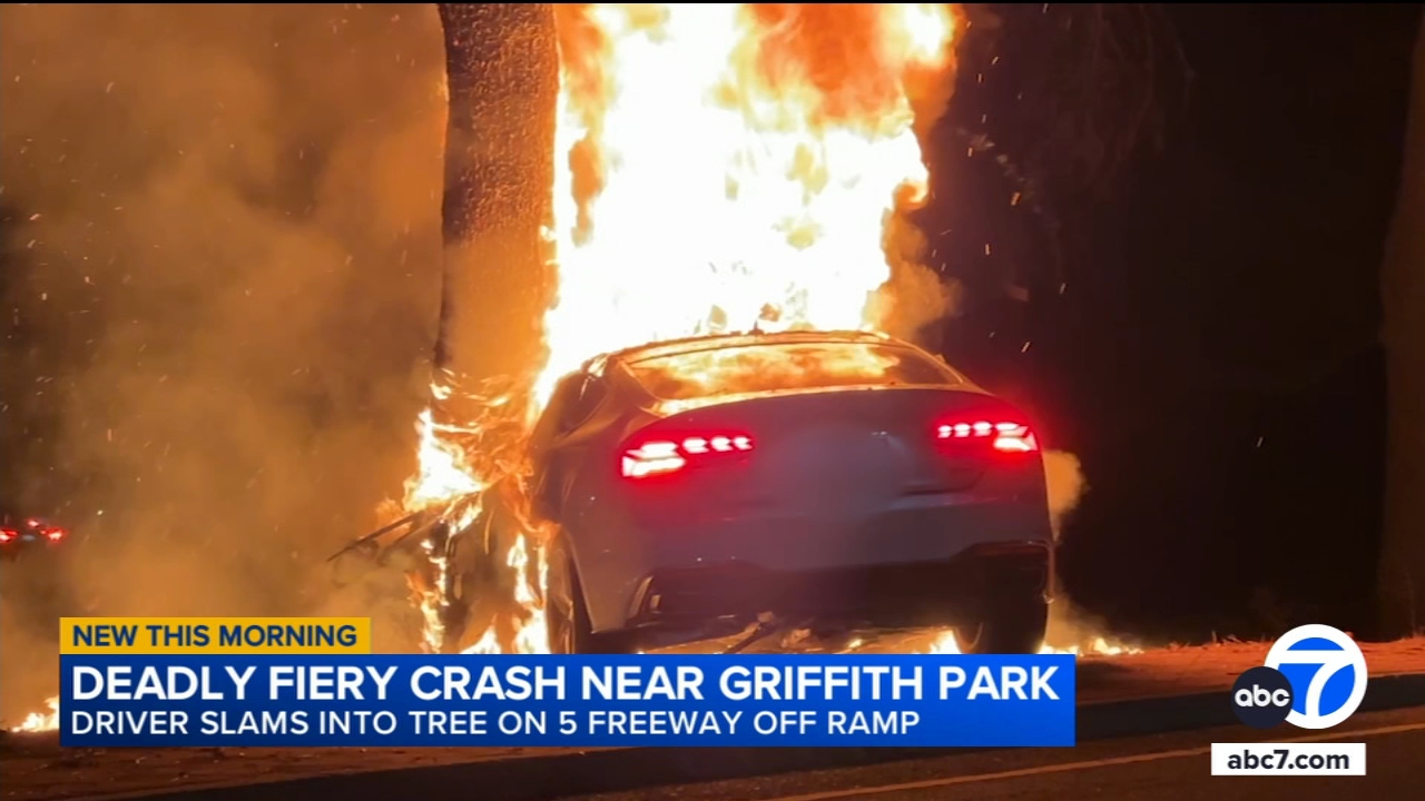 Driver killed after car slams into tree near Griffith Park