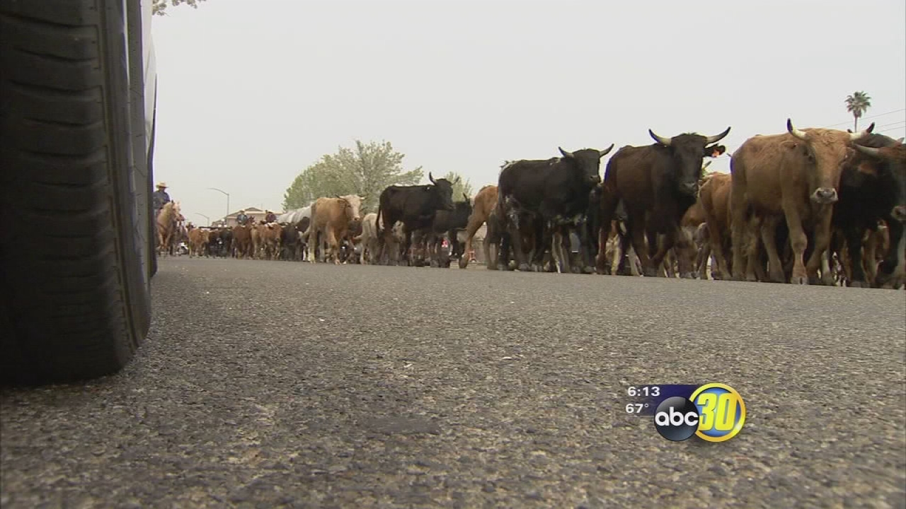 Hundreds line Chowchilla streets for 60th annual stampede