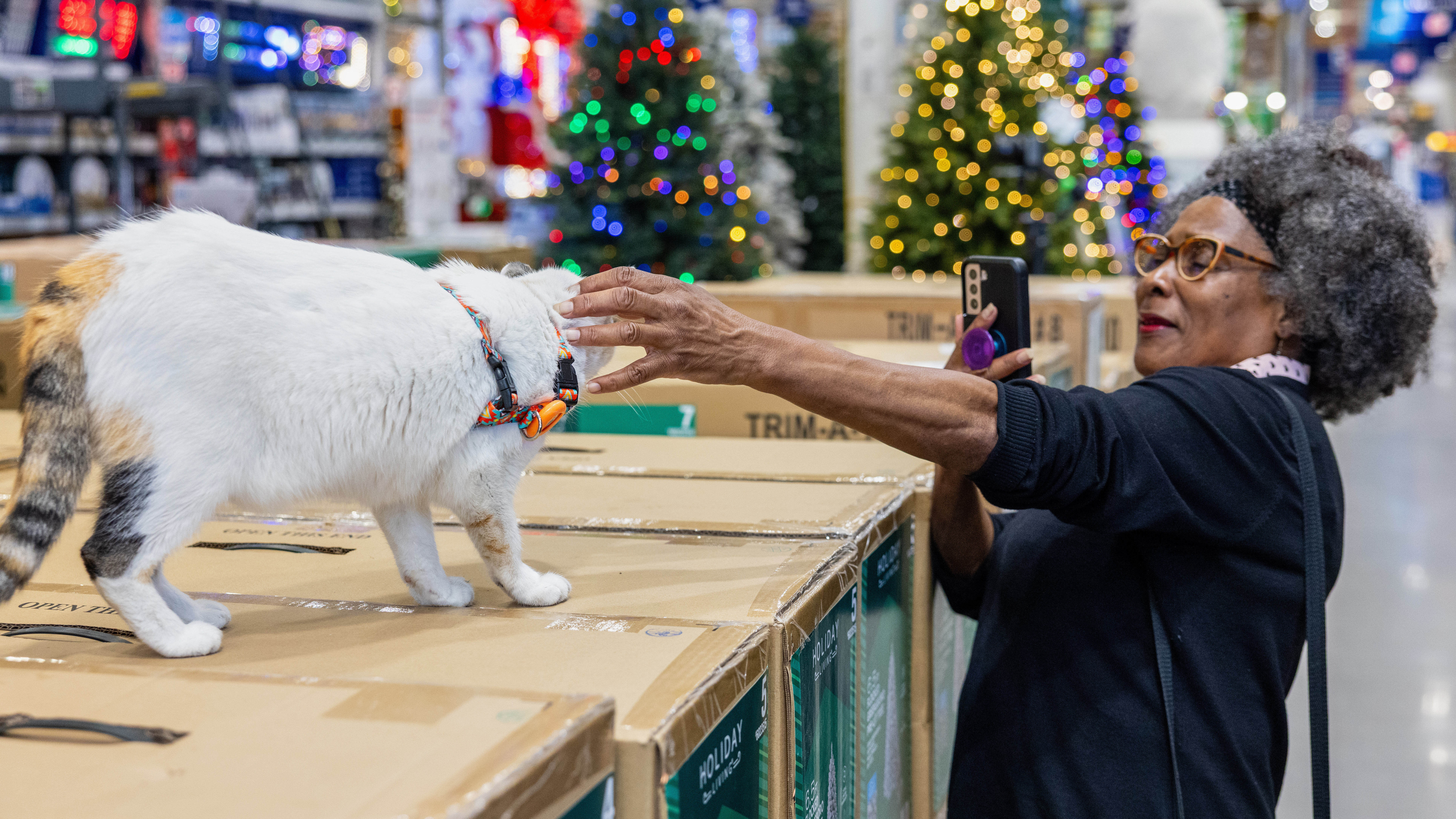 Customer welcome back Francine, the store cat, on Tuesday, Oct. 7, 2025, after she disappeared unexpectedly in September, at the Richmond, Va., Lowe's. (Kevin Ridley/Lowe's via AP)