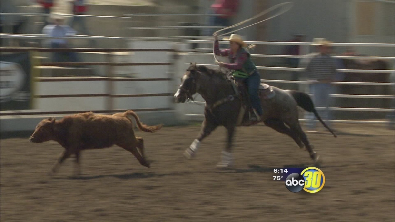Fresno State Bulldoggers host rodeo in Clovis