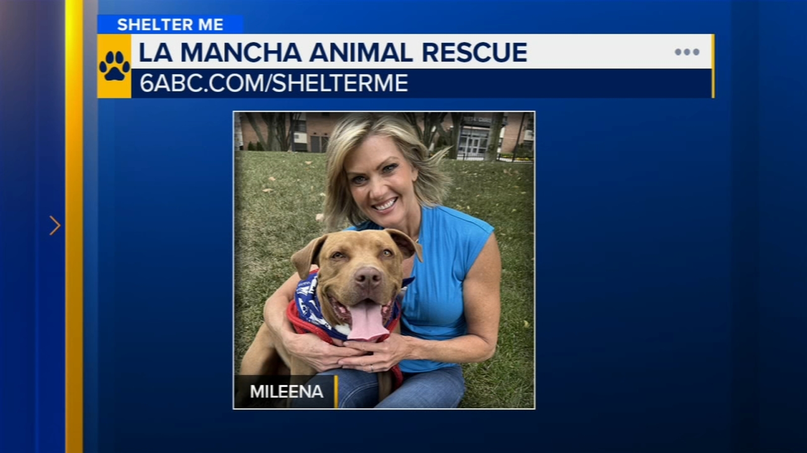 Shelter Me: Meet Mileena, a gentle spirit with lots of love – and kisses! – to give Shelter Me: Meet Mileena, a gentle spirit with lots of love – and kisses! – to give