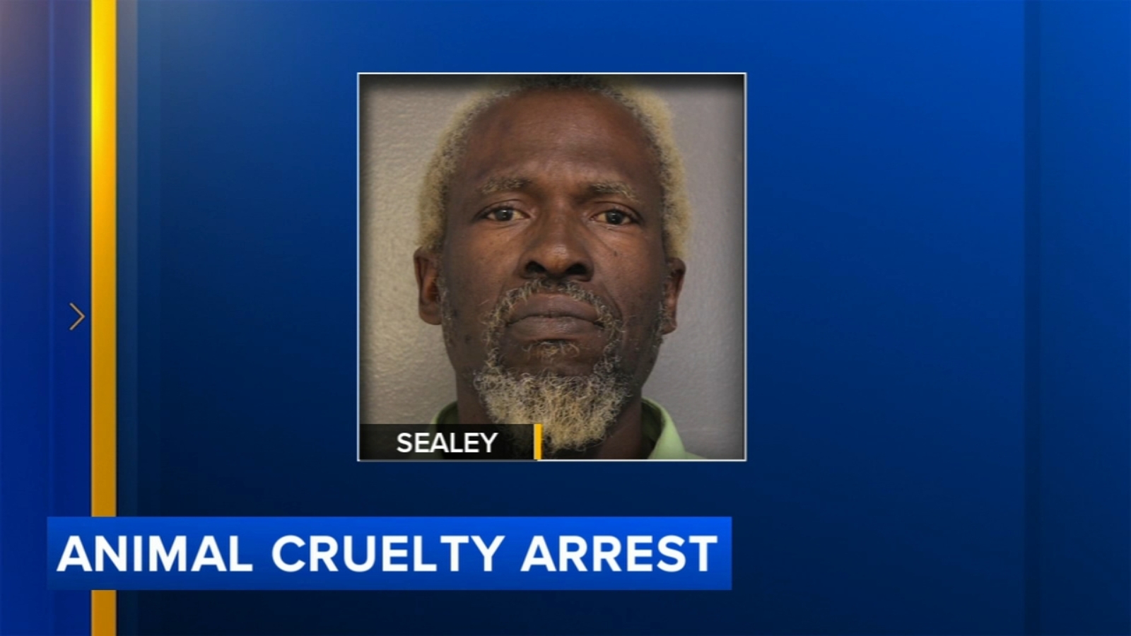 ‘I knew this would happen’: Man charged after dog found dead, others rescued from porch