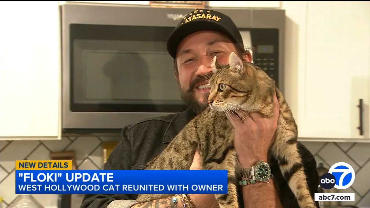 ROAD RAGE: Top 10 most dramatic SoCal road rage fights caught on camera ...