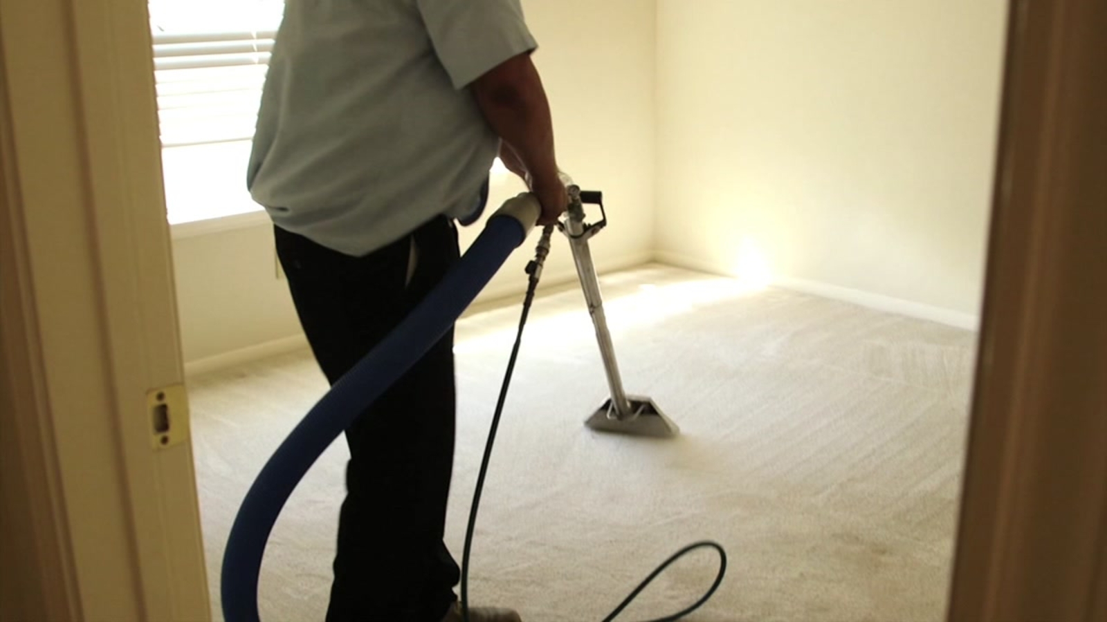 Check This Out, March 17 Dirt Free Carpet Cleaners ABC13 Houston