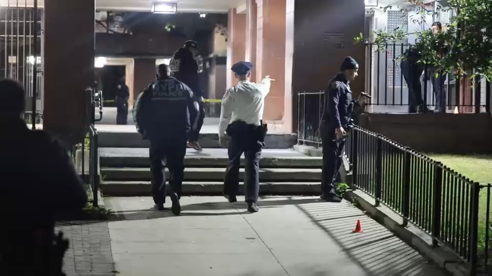 Tiempo: Queens nonprofit Connected Chef provides fresh produce, food education to residents 8 17991144 101225 wabc soundview teen shot 9am