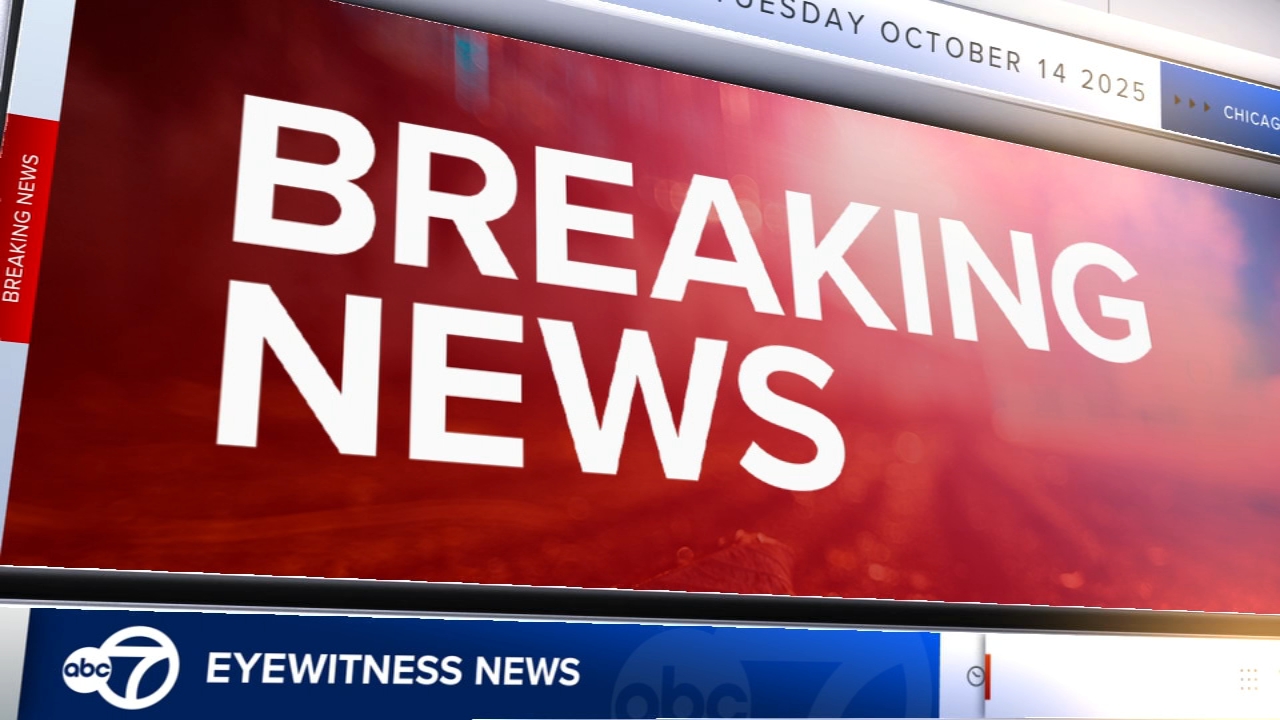 Metra working to resolve system-wide outage: spokesperson