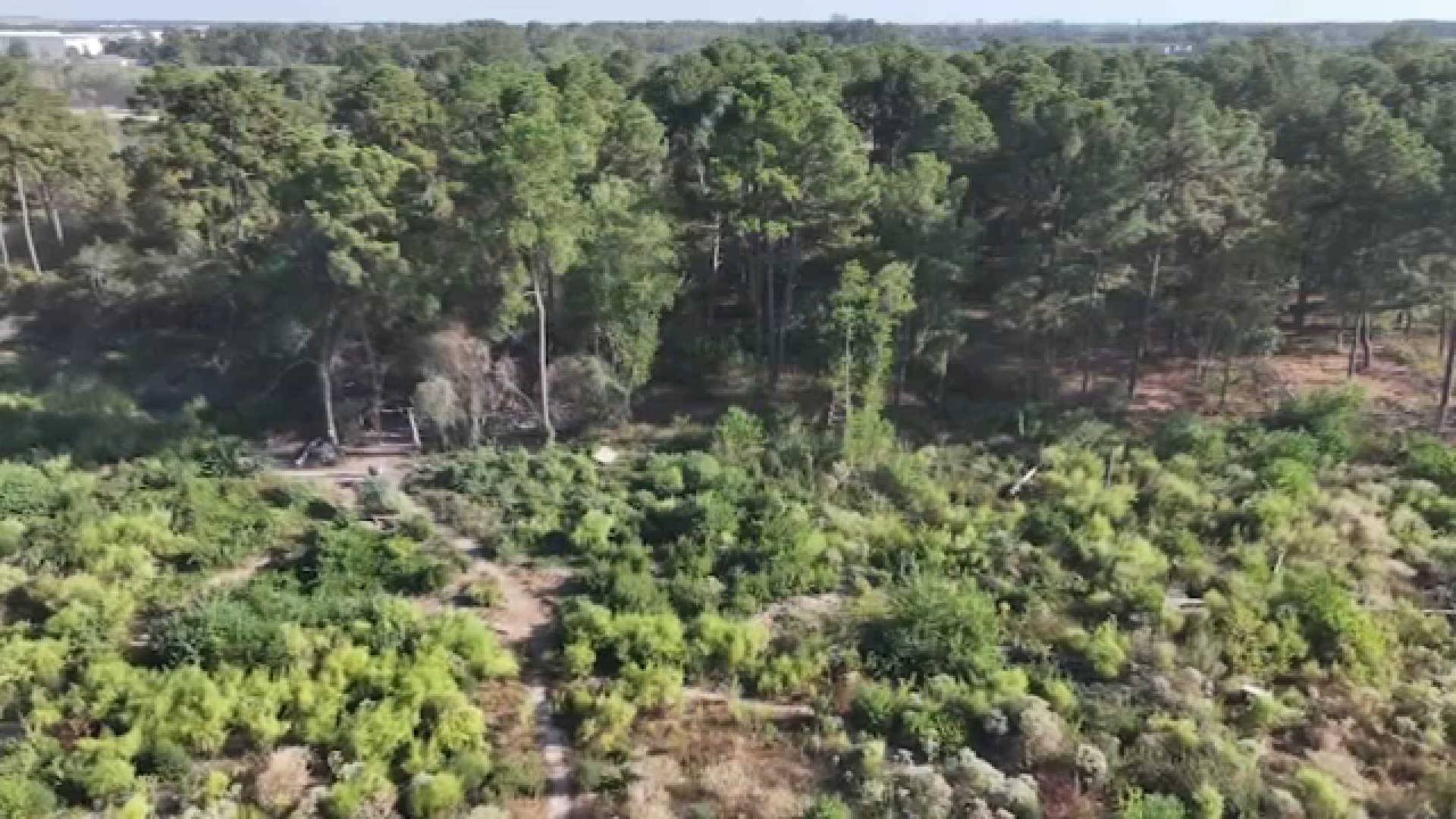 Officers temporarily reassigned after man found dead in wooded area of north Harris County: HCSO