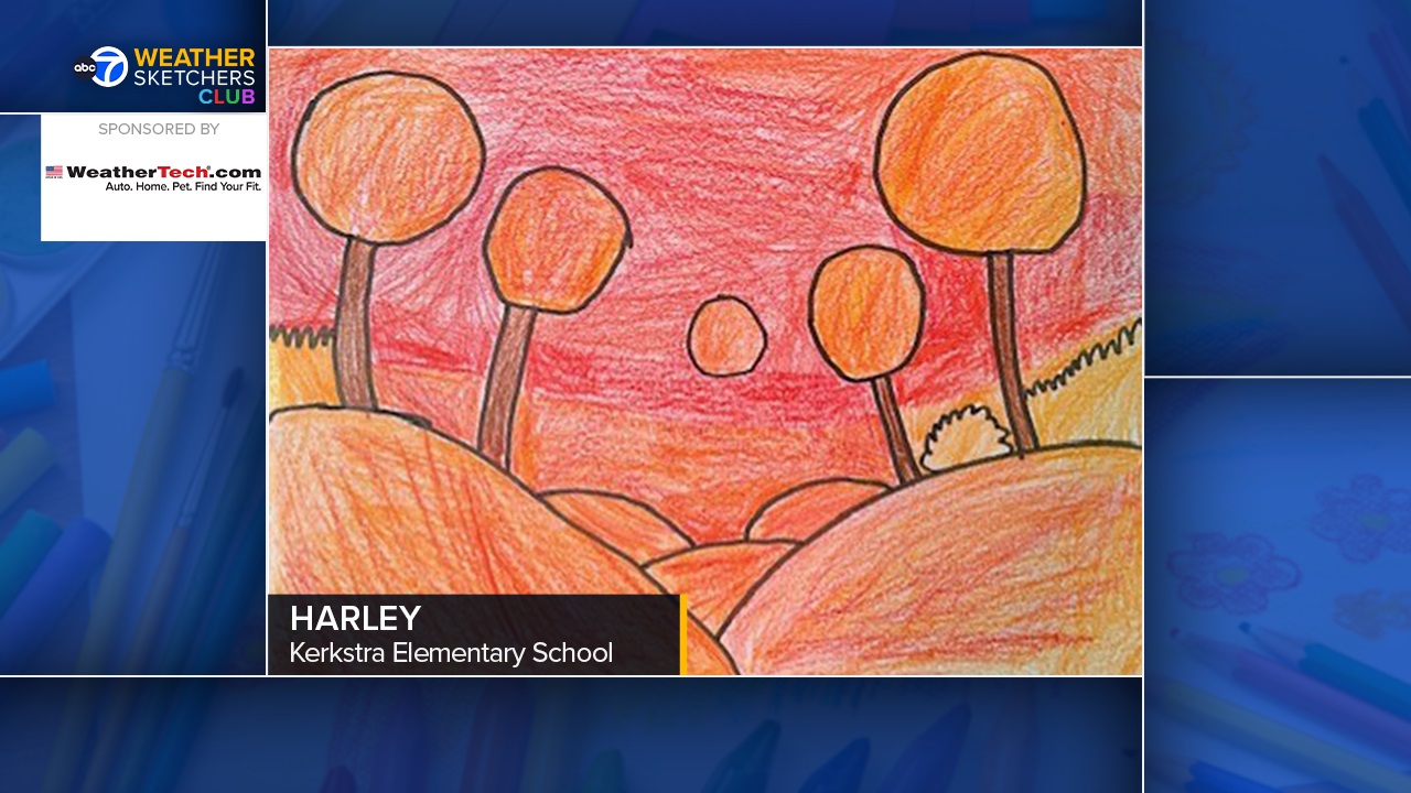 絵画　大型　「Weather Expert」 Vermont Weather Report Art Print by dug Nap – dug Nap Art