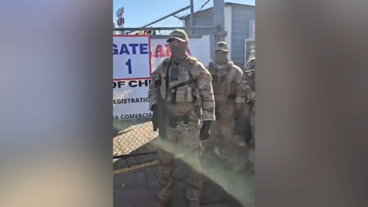 13 arrested by Border Patrol at South Side flea market, DHS says