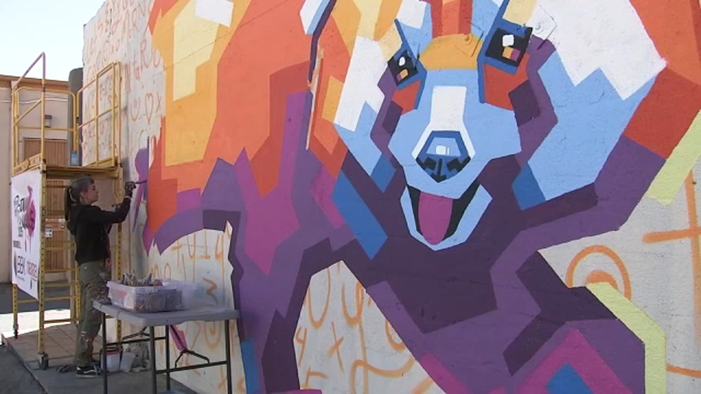 Celebration of art in Ontario brings 14 new murals to the city