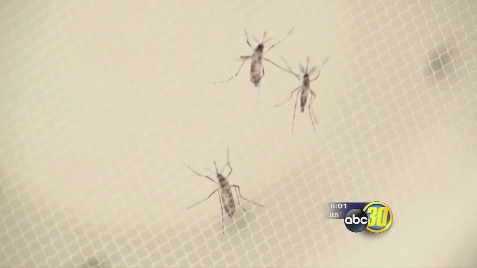 Mosquito season starting early and so are the efforts in the Valley to