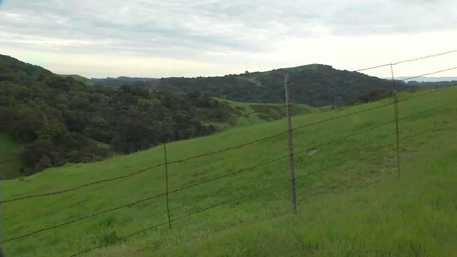 Land between Moraga and Oakland to be protected by John Muir land trust