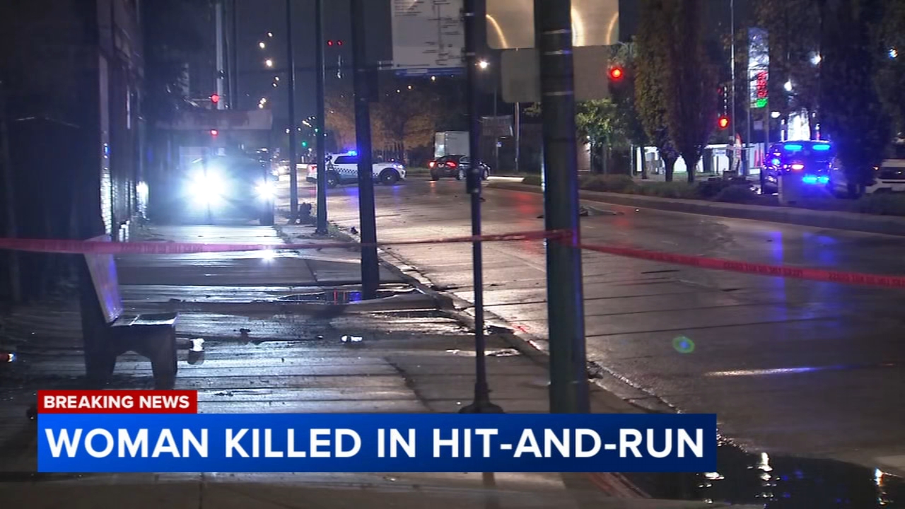 Woman killed in South Side hit-and-run, Chicago police say