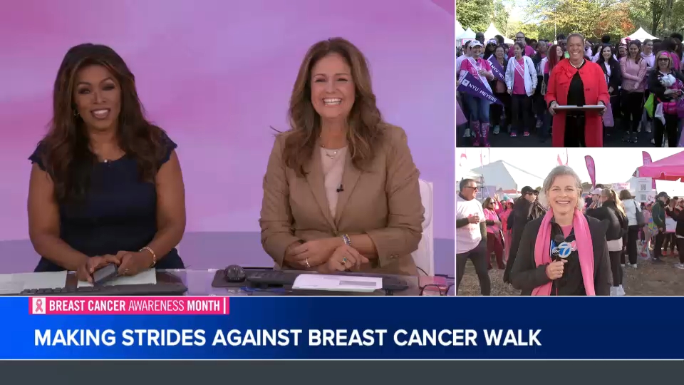 Making Strides Against Breast Cancer walks return to Central Park, on Long Island
