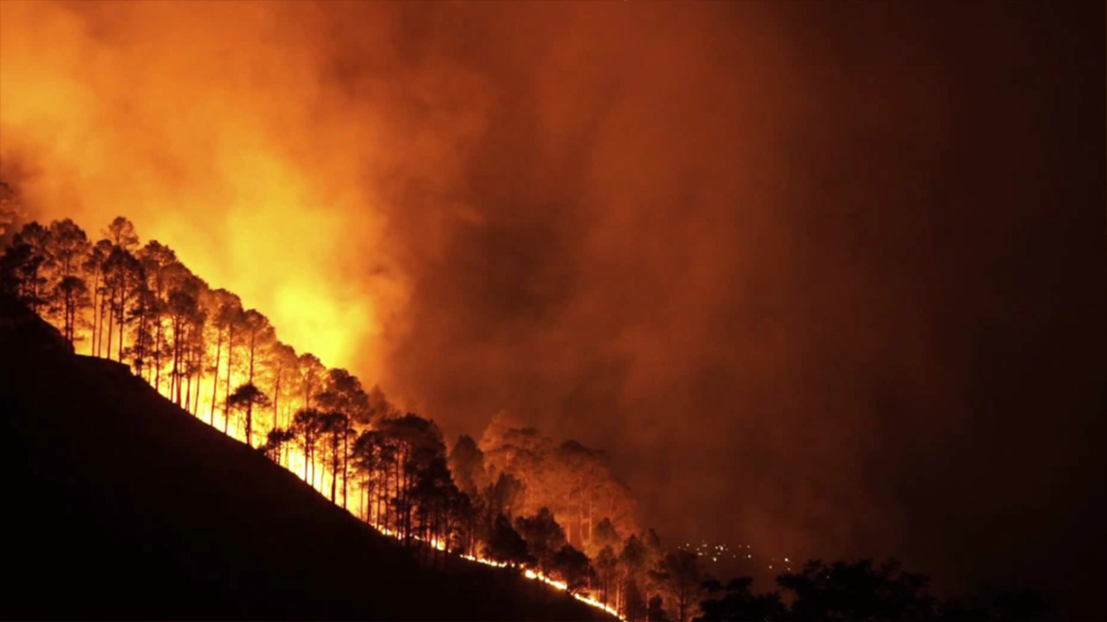 NC Forest Service gives tips for preventing wildfires amid drought conditions