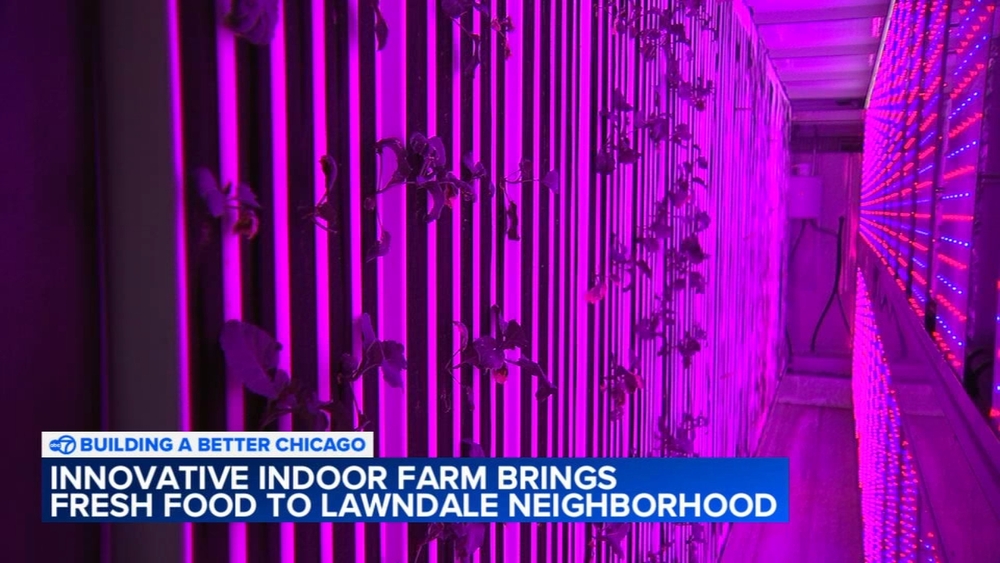 How a West Side farm yields harvest through the winter