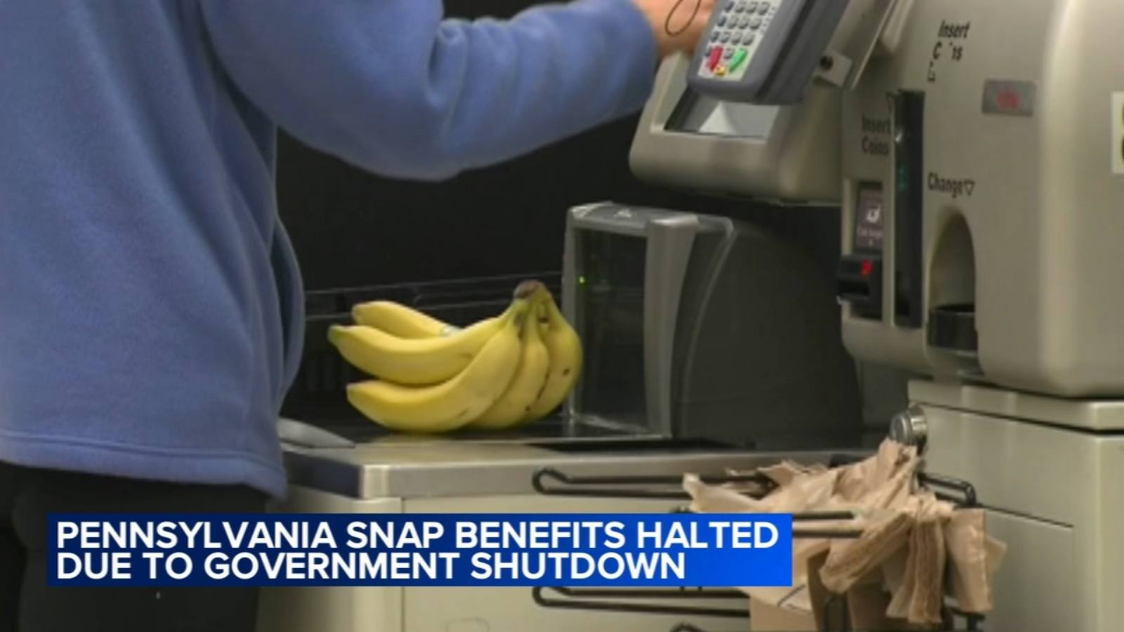 18049868_102025-wpvi-pa-snap-benefits-ha