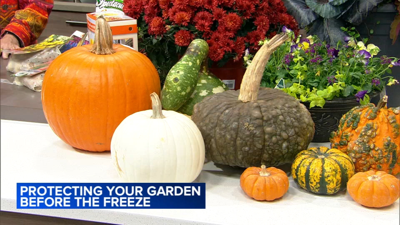 Get your garden fall-ready: Expert tips from Chalet's Jennifer