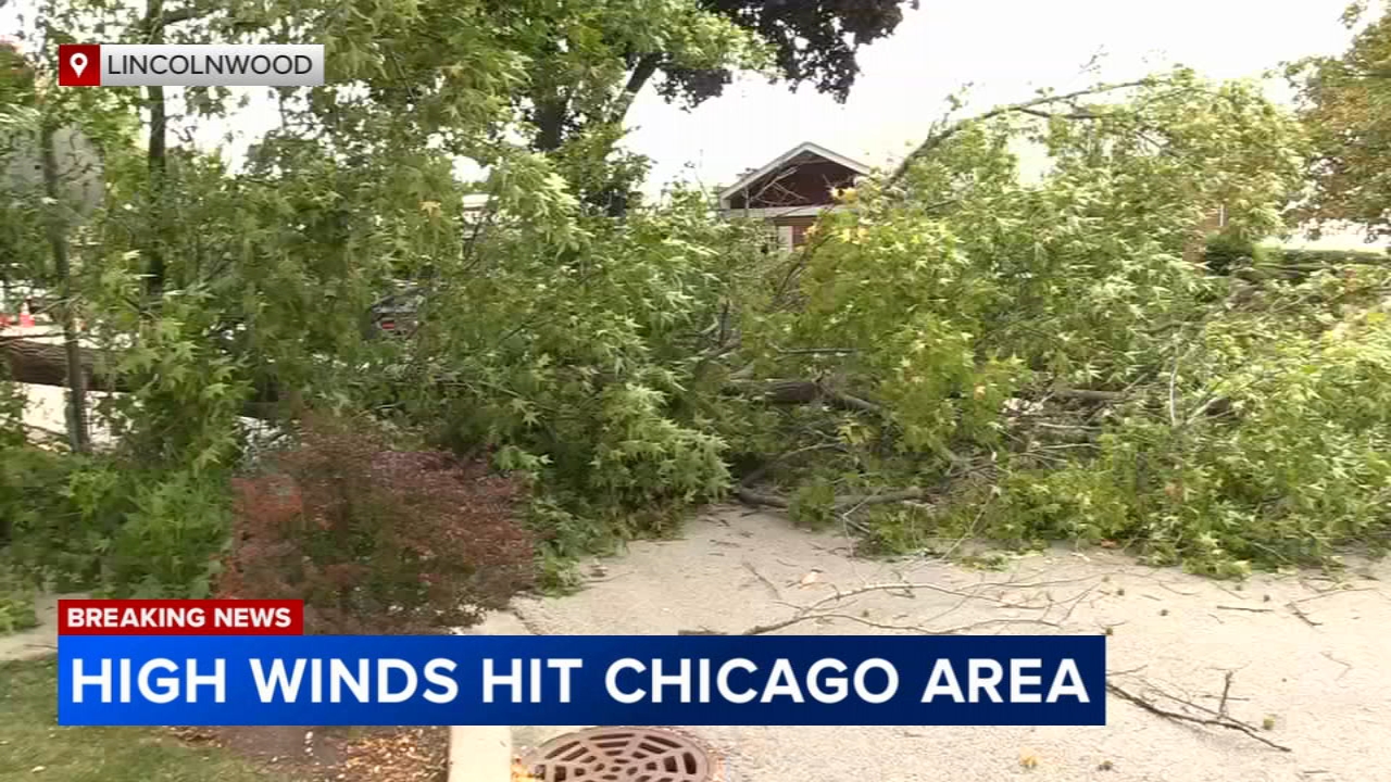 Photos from Lincolnwood and Glen Ellyn showed crews cleaning up from debris on Tuesday.