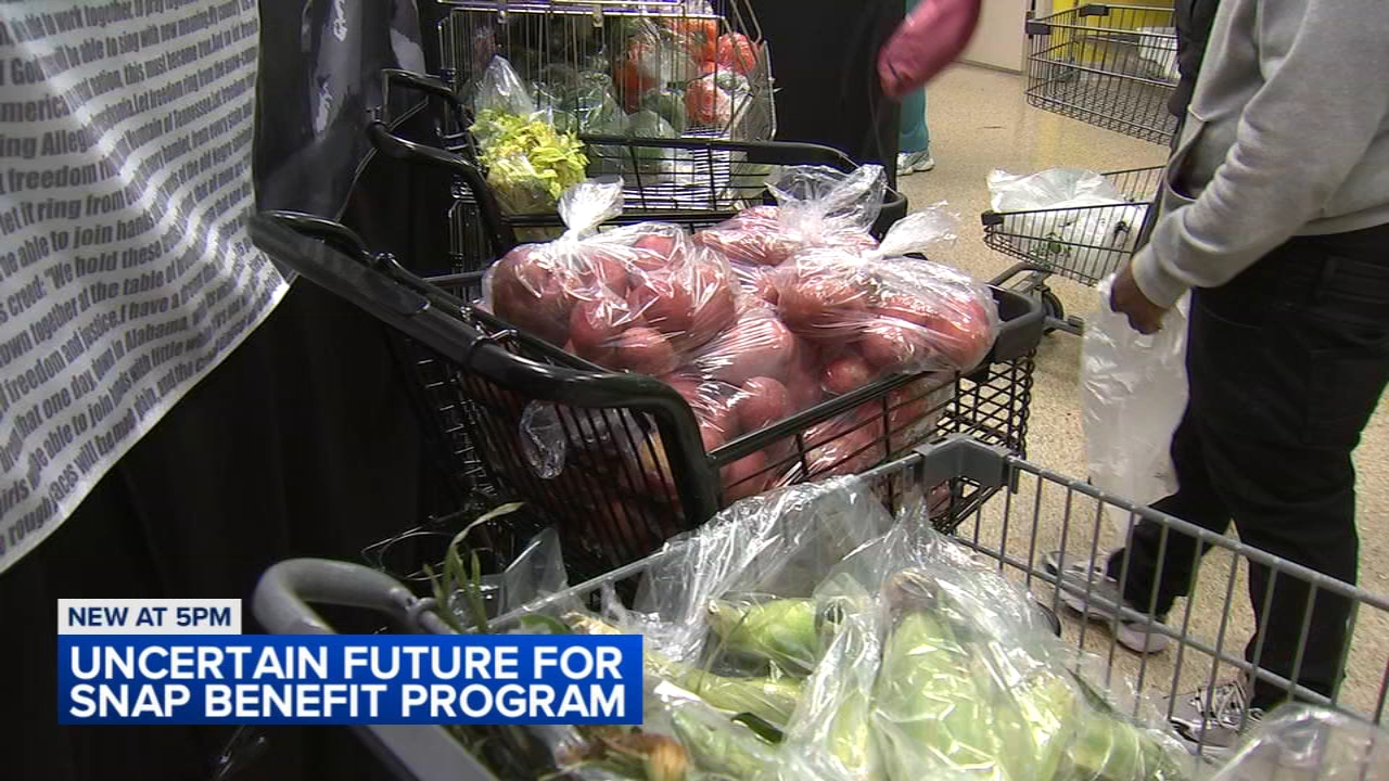 Nearly 2 million Illinoisans set to lose SNAP benefits amid congressional stalemate