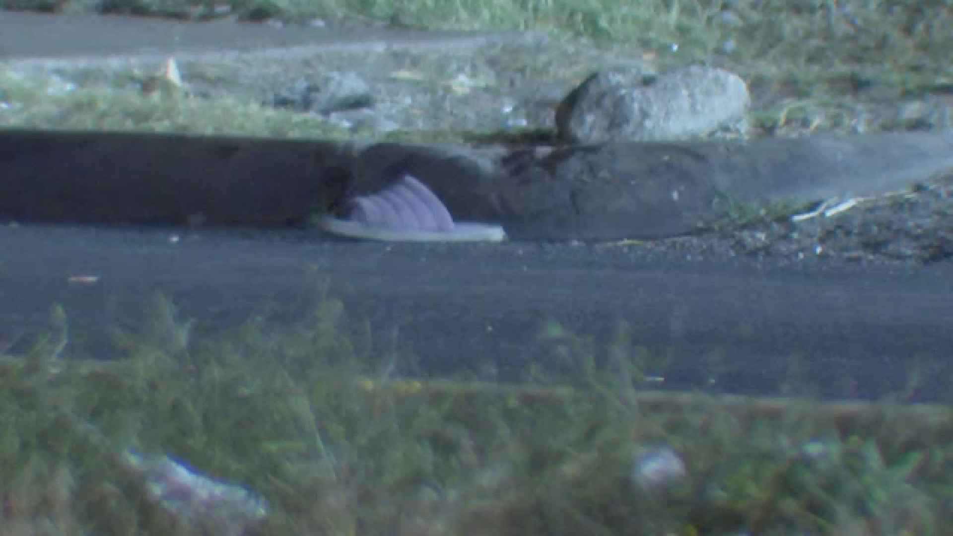 2 women fighting on the road hit and killed by car, HPD says