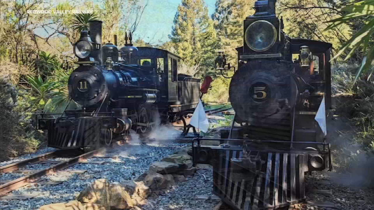 Tilden Park steam train's future uncertain after 70 years: report