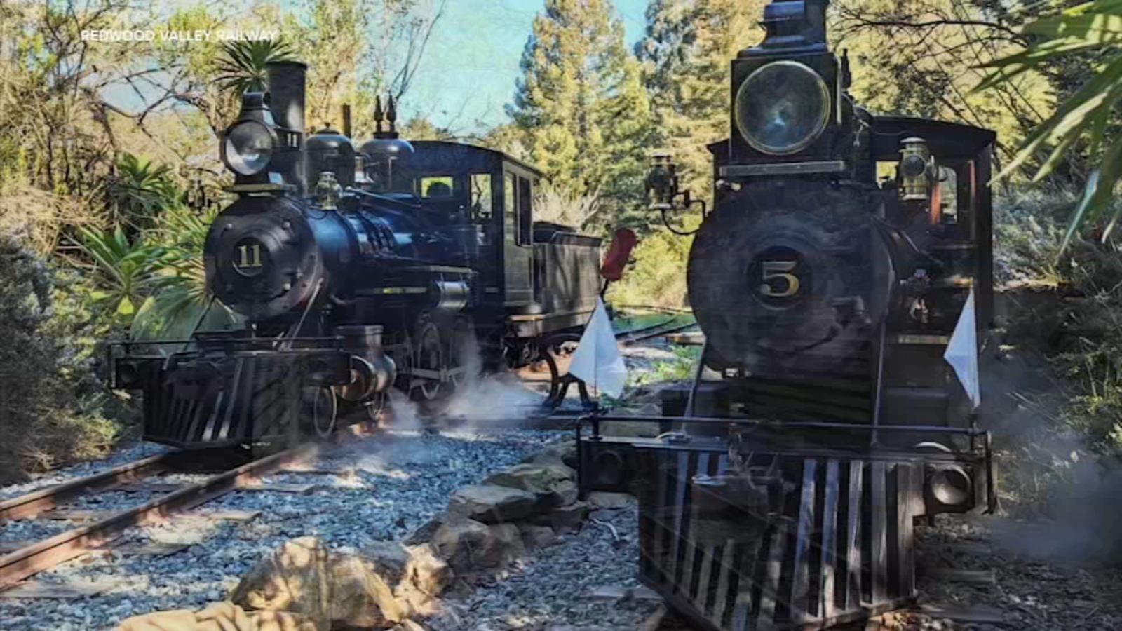 Tilden Park steam train's future uncertain after chugging in East Bay for 70 years, report says