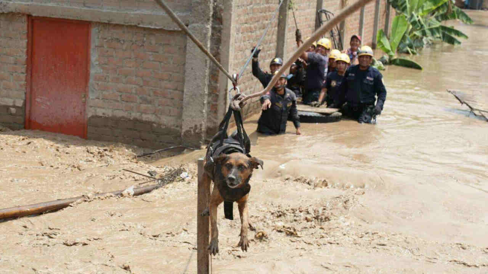 Death toll in Peru flooding climbs to 67 as crews work to rescue