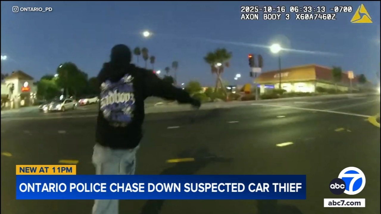 Ontario police chase down suspected car thief, video shows