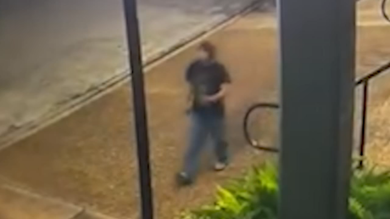 Texas Girl Escapes Kidnapping Attempt by Biting Attacker