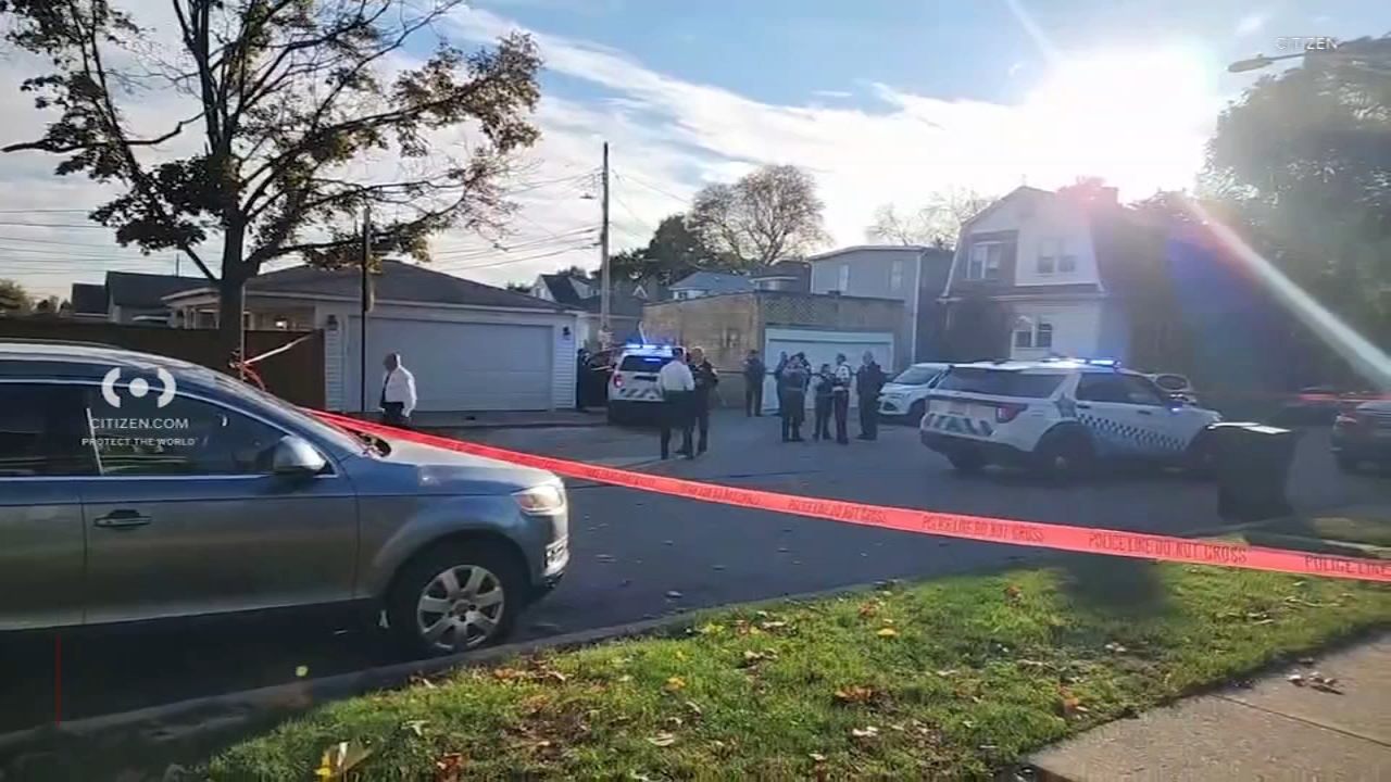 1 in custody after shooting at squad car in Jefferson Park: CPD