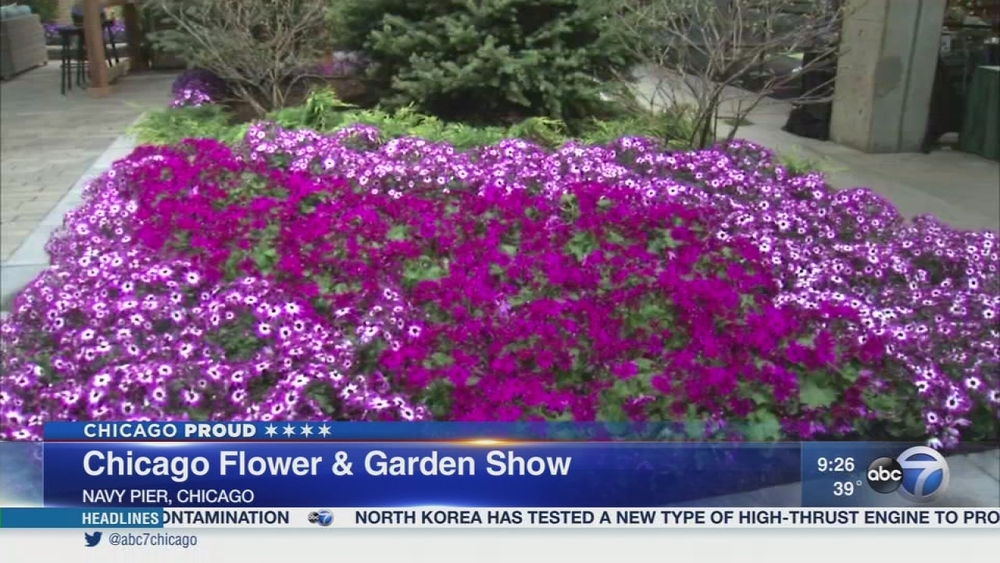 Spring comes early at the Chicago Flower & Garden Show