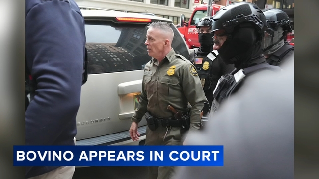 bovino apperar in court