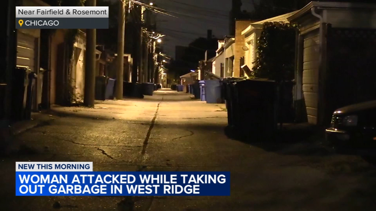 
Woman attacked while taking out garbage in West Ridge: CPD