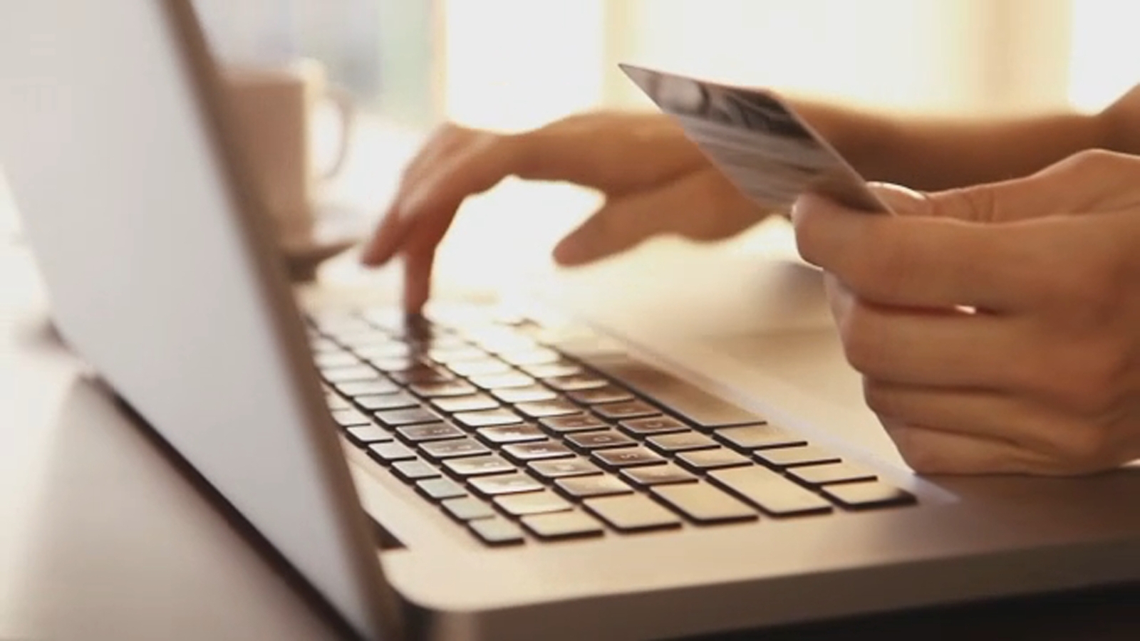 Watching Your Wallet: Avoiding scams while holiday shopping online