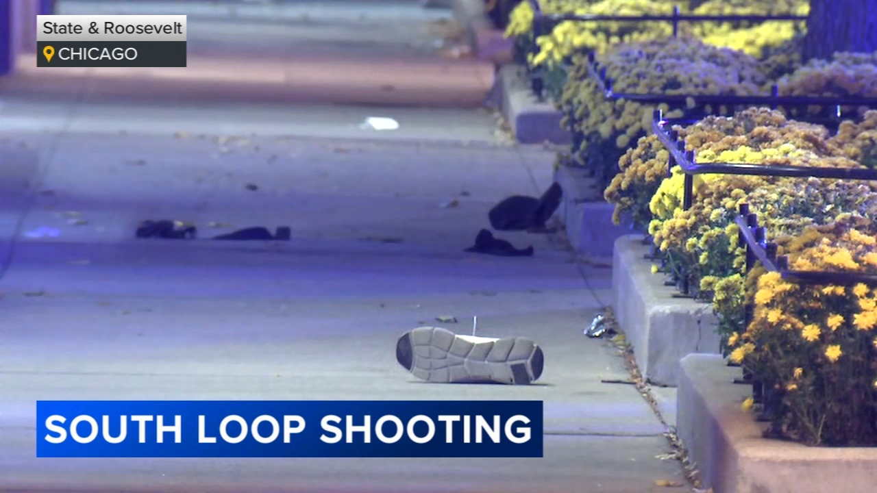1 critically wounded in South Loop shooting: CPD