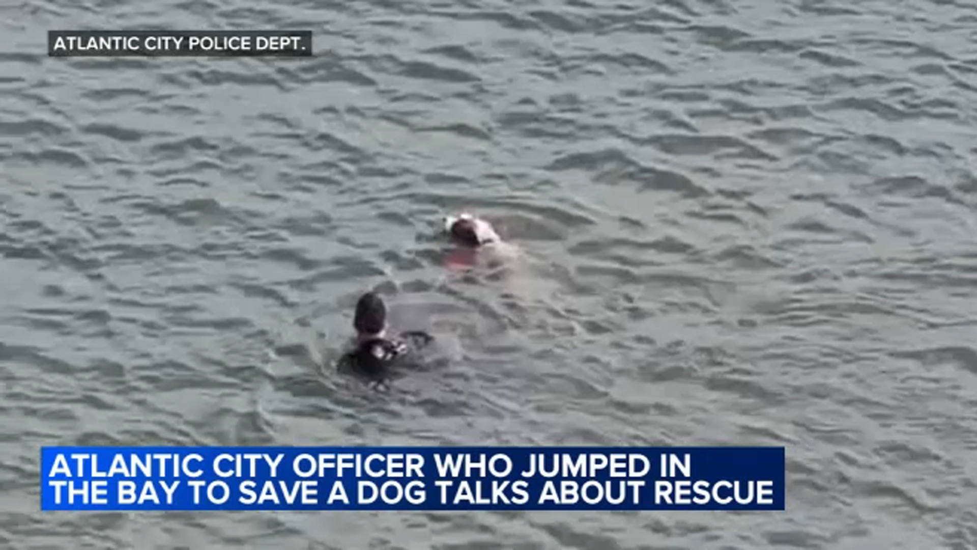 Atlantic City officer shares story after heroic rescue of injured dog