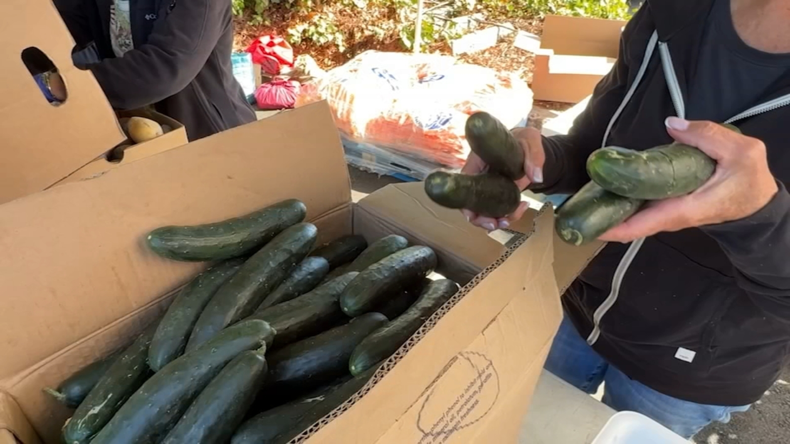 North Bay nonprofits help fight food insecurity during SNAP crisis