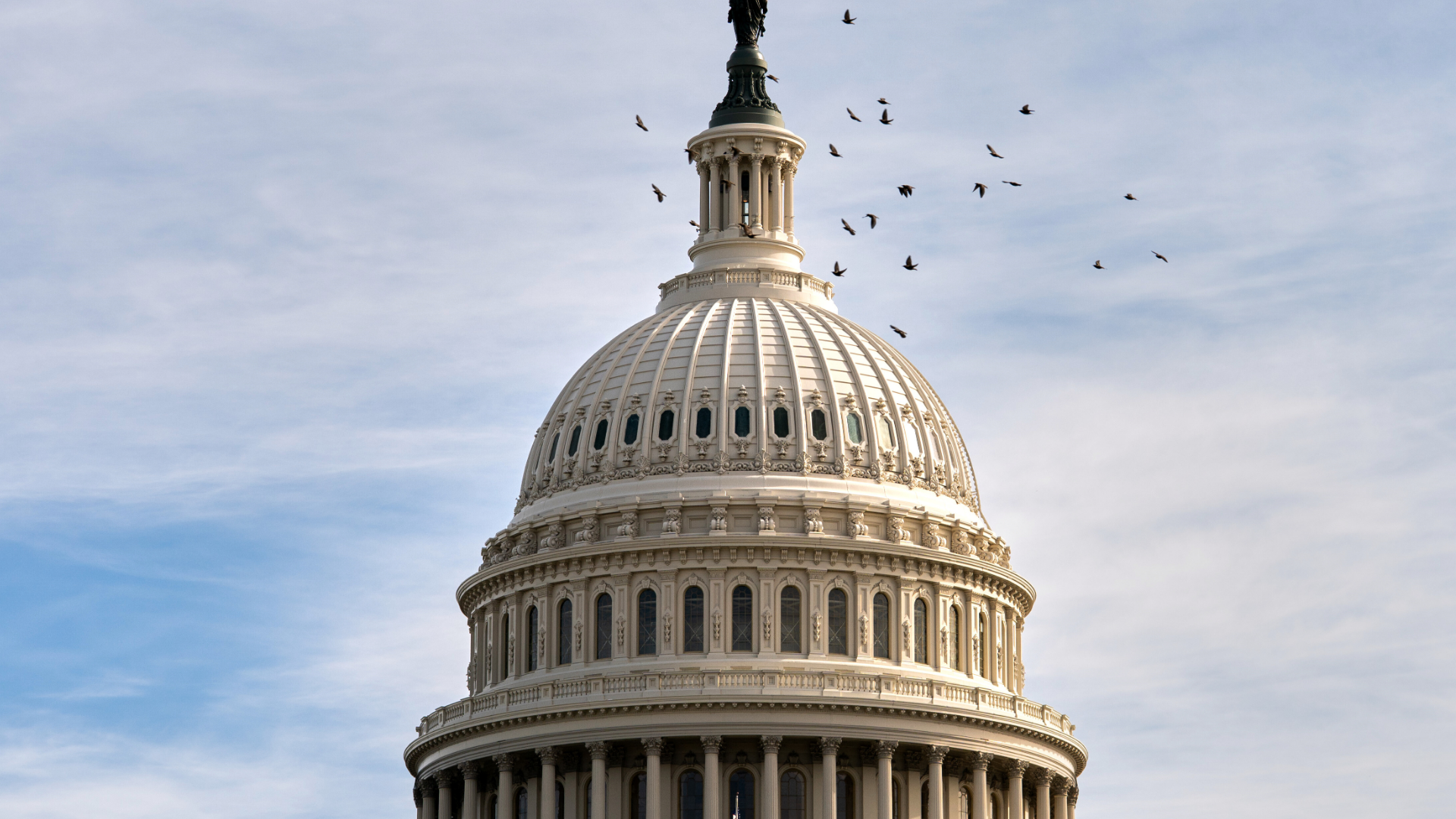 Birds fly around the Capitol dome, Tuesday, Nov. 4, 2025, in Washington.