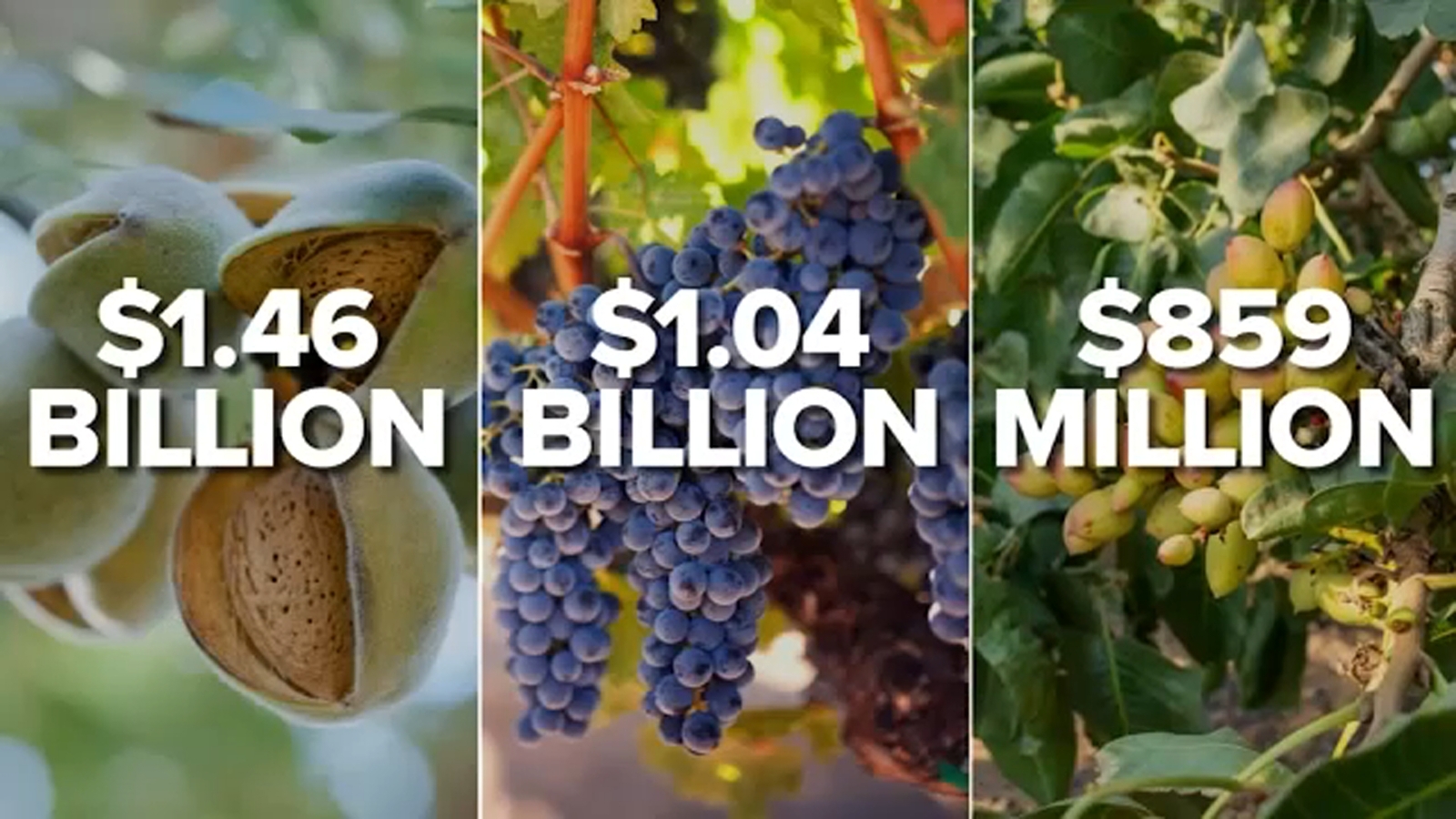 Fresno back on top of agricultural production in the US, but farmers fear for the future