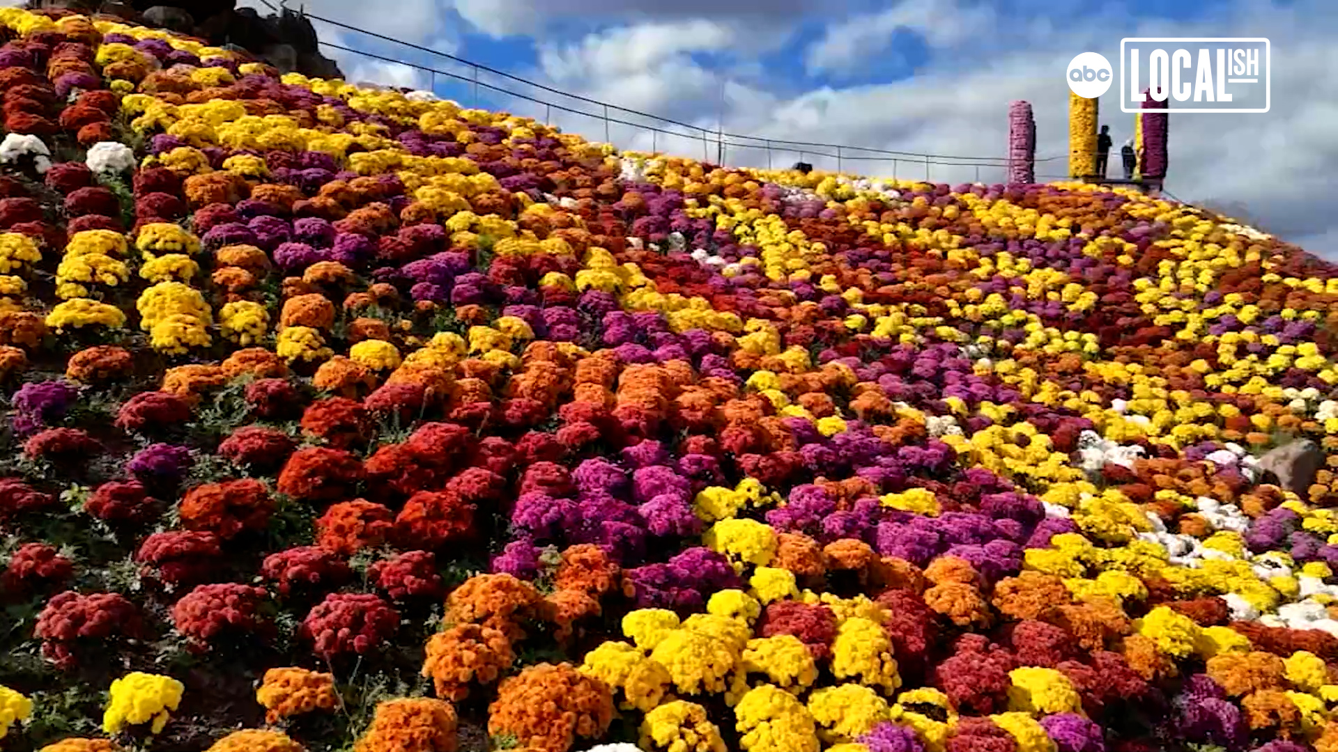 Wander through a floral wonderland at Ott's Exotic Plants - ABC7