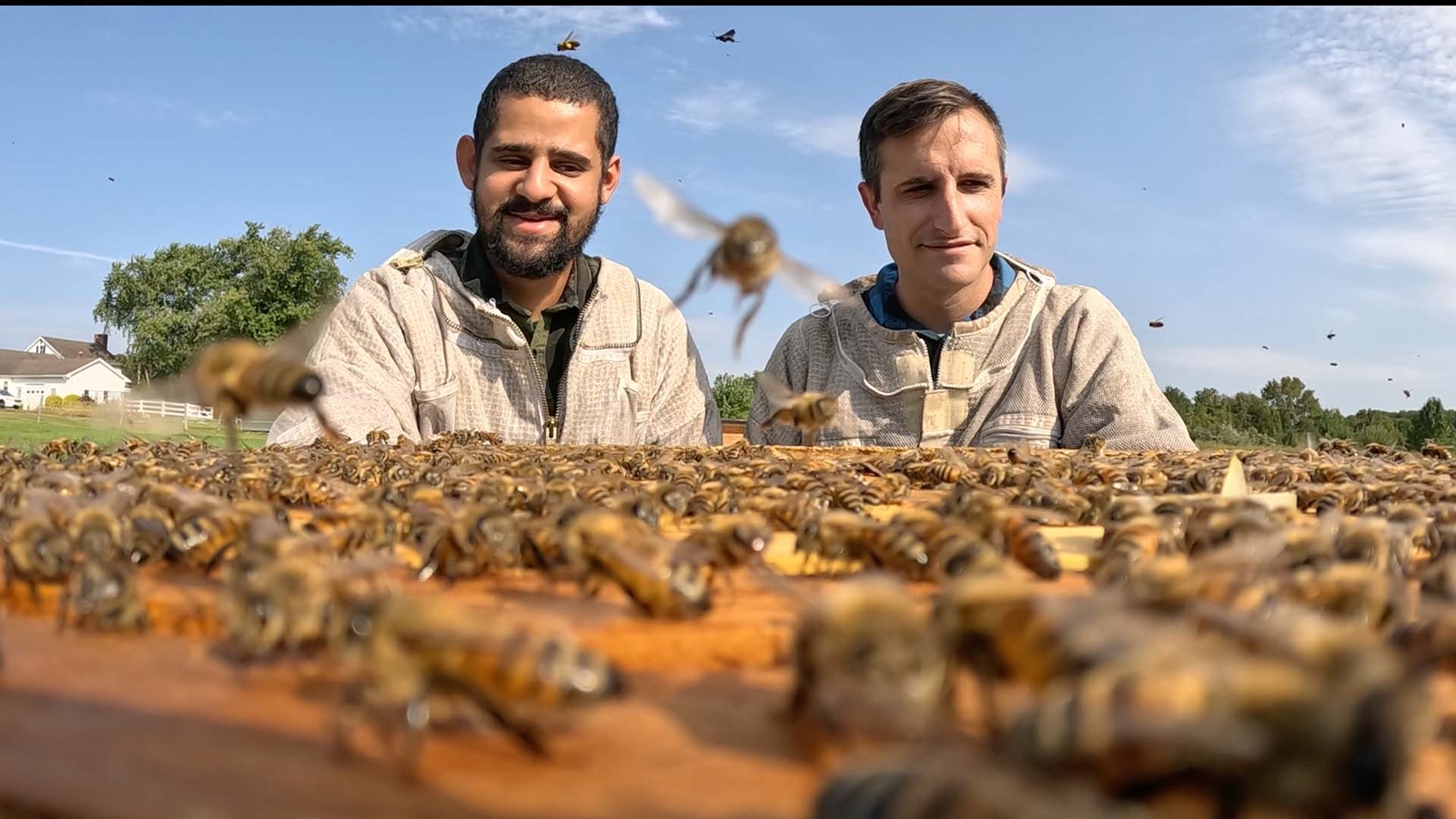'Swazey Farms' harvests honey and rescues bees in South Jersey