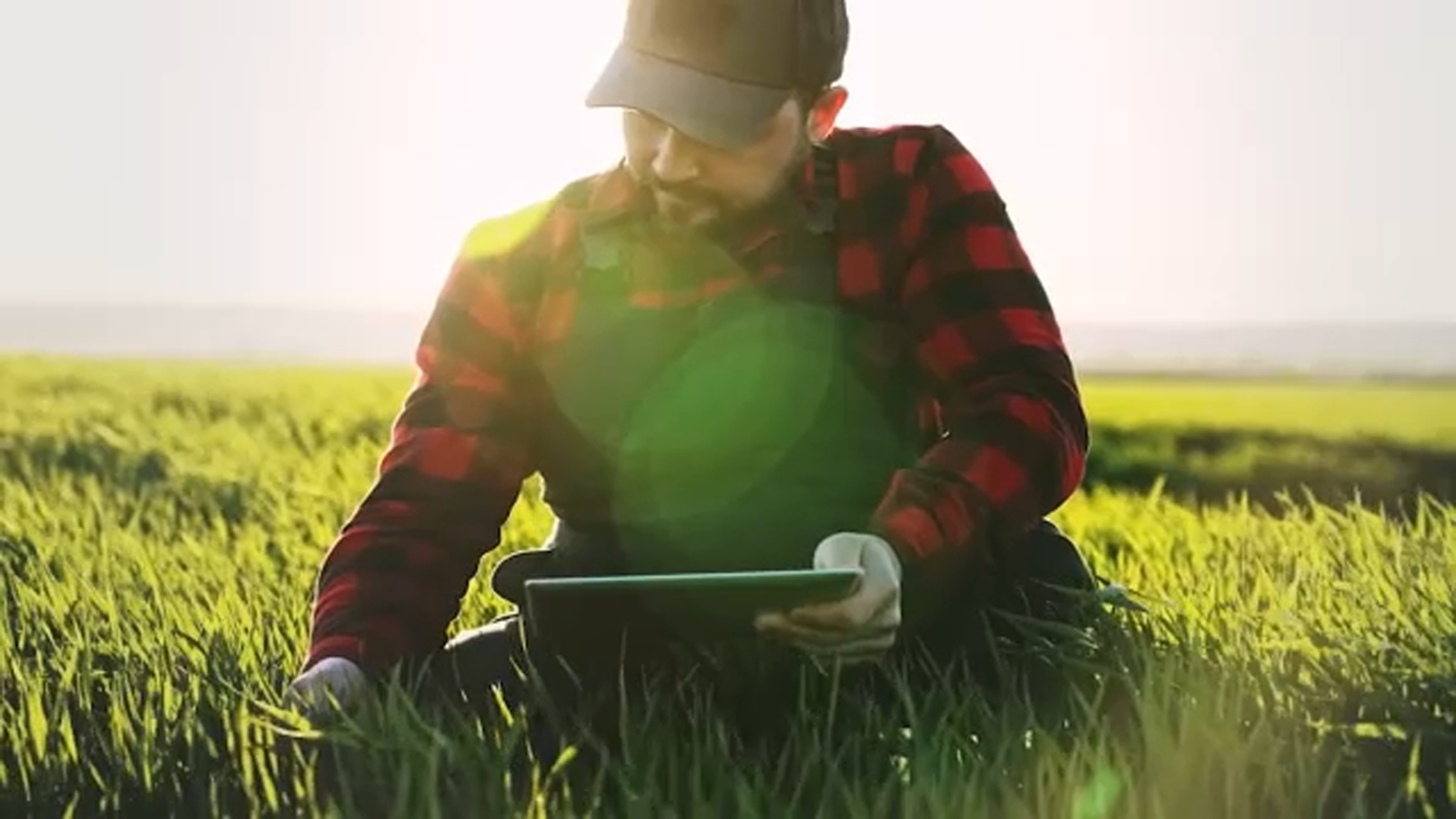 $1M grant helps Tulare County farmworkers pursue advance careers in Agriculture