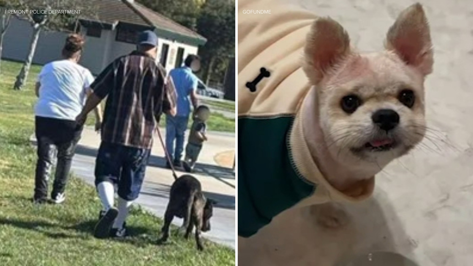 Fremont police looking for dog, owner after deadly attack at park: 'Justice For Cheese'