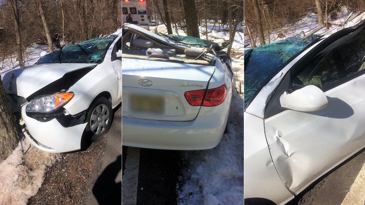 Woman critically injured after tree lands on car in New Jersey